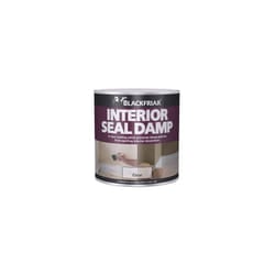 Blackfriar BF0460001E1 Interior Seal Damp 500ml