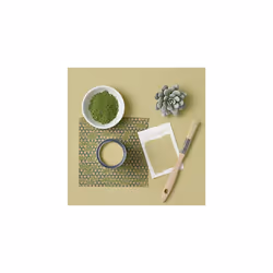 Green Scrubbable Kitchen Cupboard Paint in Satin Finish - Wasabi 750ml