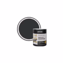 Black Guardian Mould Resistant Interior Wood Paint in Matt Finish - Natural Charcoal (Black) 750ml