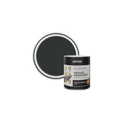 Black Guardian Mould Resistant Interior Wood Paint in Matt Finish - Natural Charcoal (Black) 750ml