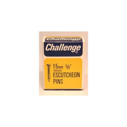 Challenge Escutcheon Pins - Brass Plated (Box Pack) 15mm [11410]