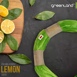 Greenland Eco-Friendly Refill Film Rings Compatible with Tommee Tippee Simplee Sangenic & Twist & Click (6-Pack)