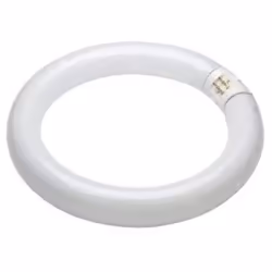 T9 Circular Flourescent Tube 32W - Colour Cool White- 840 - T9 G1OQ