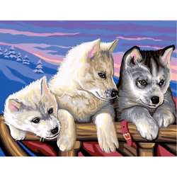 Sequin Art Senior Painting By Numbers Huskies