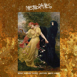 Cherry Red Records Membranes: What Nature Gives… Nature Takes Away, CD Punk