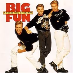 Cherry Red Records A Pocketful Of Dreams Special Edition, CD, Big Fun, 200 g