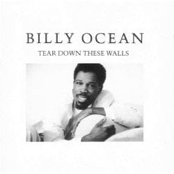 Cherry Red Records Tear Down These Walls: Expanded Edition