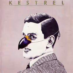 Cherry Red Records Kestrel: Remastered 2CD Expanded Edition, Rock, CD, Physical media, Adult