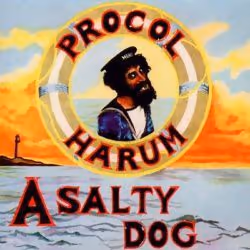 Cherry Red Records A Salty Dog REMASTERED EDITION, Physical media, Adult