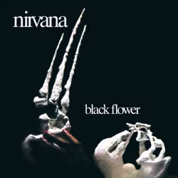 Cherry Red Records Nirvana: Black Flower, Re-Mastered & Expanded Edition, Rock, Nirvana (UK), Physical media, Adult