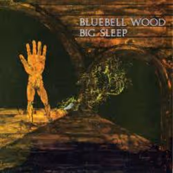 Cherry Red Records Bluebell Wood, CD, Big Sleep, 200 g