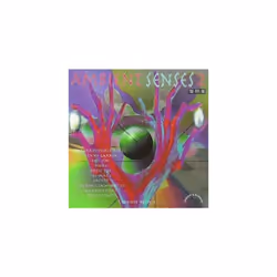 Various Ambient Senses 2 - The Feeling CD