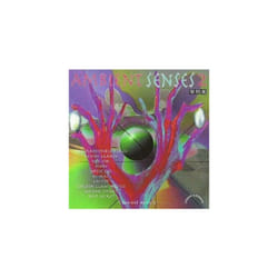 Various  Ambient Senses 2 - The Feeling CD