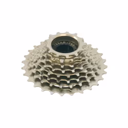 ETC 5 Speed Freewheel Nickel Plated - 14 - 28T, Silver