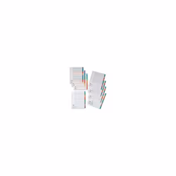 Concord Punched Pocket Index Multicolour-tabbed Europunched Jan-Dec Extra Wide A4 White Ref CS79