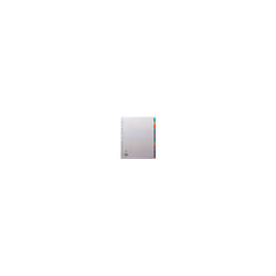 Concord Punched Pocket Index Multicolour-tabbed Europunched 1-20 Extra Wide A4 White Ref CS99