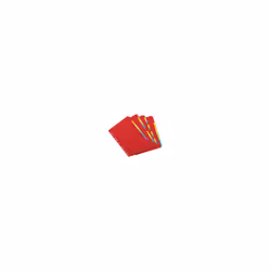 Concord BRIGHT DIVIDER A4 5PT ASST 50699
