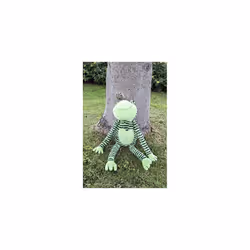 FROGGY LONG LEGS