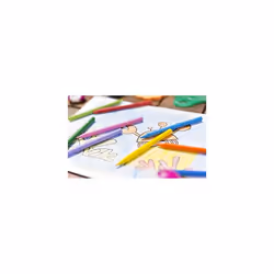 Plastidecor Assorted Colored Crayons (Pack of 24)