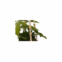 Hanging Planter, 2 Pack Macrame Plant Hangers, Rope Flower Pot Hanger for Indoor and Outdoor Patio Deck Ceiling Plant Holder With 2 Pcs Cup Hooks (A)