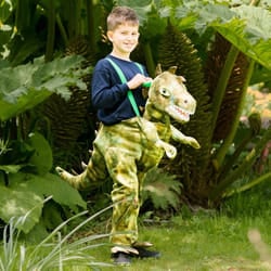 Amscan RDI3 fancy dress