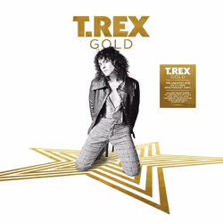 2 Entertain Gold (2LP), Rock, Vinyl, T.Rex, Physical media, Adults, Debora One Inch Rock Ride A White Swan Cosmic Dancer Life ...