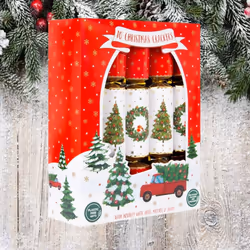 10 Traditional Christmas Crackers Tree Wreath Dinner Cracker 12 Inch