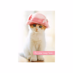 Avanti Mother's Day Cute Kitten Greeting Card Funny Range Cards