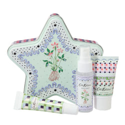 Body Wash 30ml, Body Mist 30ml and Lip Balm 10ml Comes In A Star Tin, Beauty Gift For Her, Christmas Stocking Filler, Roots & Raindrops Collection