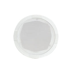 Ceiling Speaker