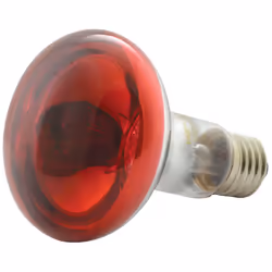 QXT R80 Coloured Reflector Lamps - Red