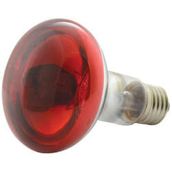 QXT R80 Coloured Reflector Lamps - Red
