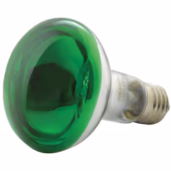 qtx R80 Coloured Reflector Lamps | GREEN