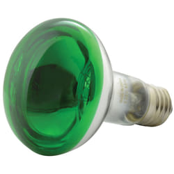 qtx R80 Coloured Reflector Lamps | GREEN