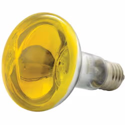 QXT R80 Coloured Reflector Lamps - Yellow