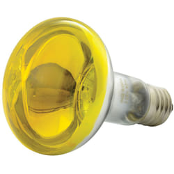 QXT R80 Coloured Reflector Lamps - Yellow