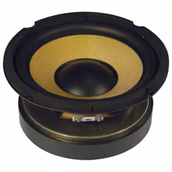 High Powered Woofer With Aramid Fibre Cone | 6.5" Driver, 8 Ohms, 250W