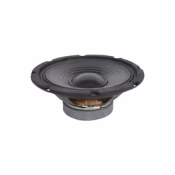 8-Inch Driver for QT8 Speaker Cabinet