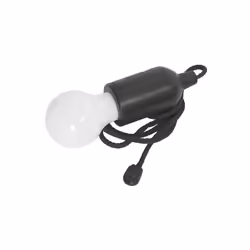 LED Pull Light