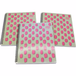 EUROPA EUORPA NOTEBOOK 160P A4+ PINK PK3