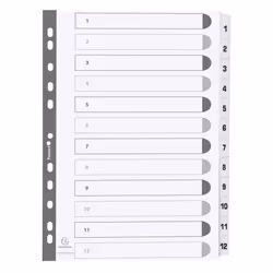 Guildhall Exacompta Index 1-12 A4 160gsm Card White with White Mylar T