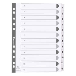Guildhall Exacompta Index 1-12 A4 160gsm Card White with White Mylar T