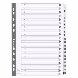 Guildhall Exacompta Index 1-20 A4 160gsm Card White with White Mylar T