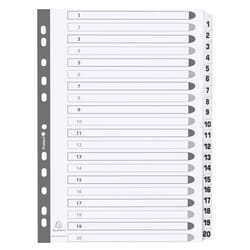 Guildhall Exacompta Index 1-20 A4 160gsm Card White with White Mylar T