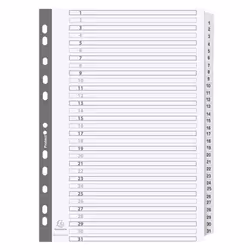 Guildhall Exacompta Index 1-31 A4 160gsm Card White with White Mylar T