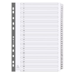 Guildhall Exacompta Index 1-31 A4 160gsm Card White with White Mylar T