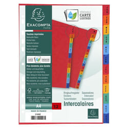 EUROPA Exacompta Index Jan-Dec A4 225gsm Pressboard Assorted Colours -