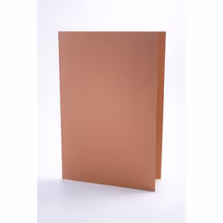 Guildhall L SQ CUT FLDR 315G ORG PK100