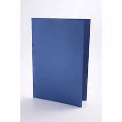 Guildhall L SQ CUT FLDR FC BLUE PK100
