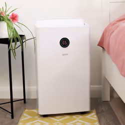 Dehumidifier Removes 20 Litres Moisture a Day, White, Igenix IGDH020W